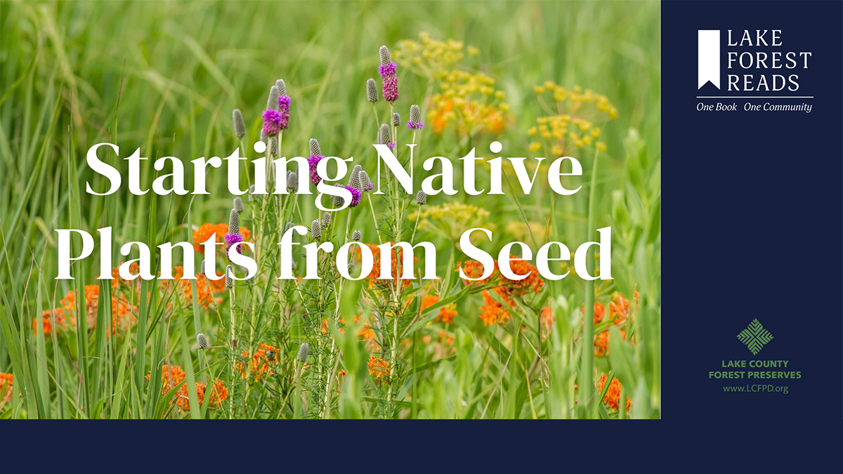 Starting Native Plants From Seed